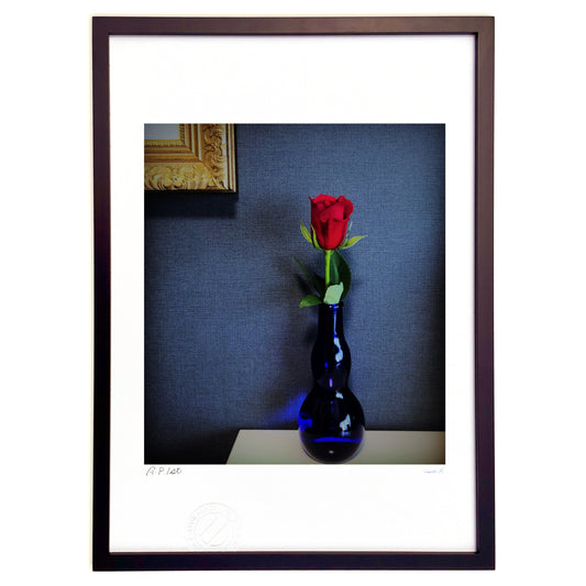 深い深いブルーに赤い薔薇