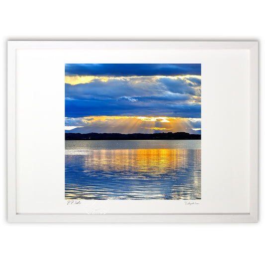 絵画のような美しい色