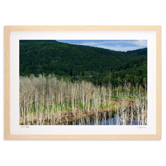 サンルのダム湖