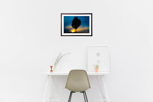 写真　一本の木 ＰＭ6：30