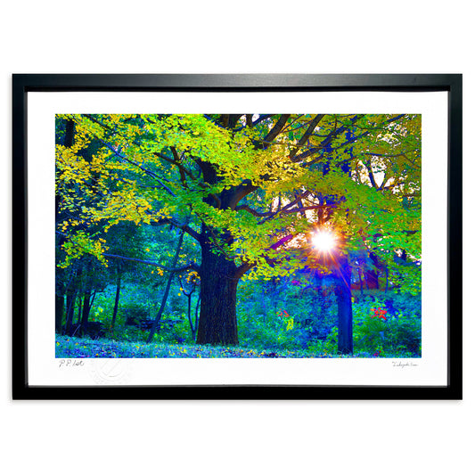 銀杏の木と夕暮れ