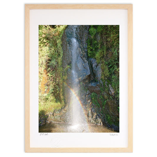 小さな滝の小さな虹