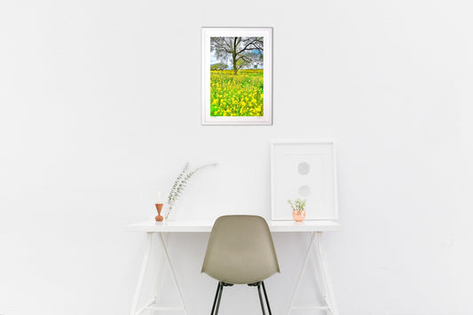 柳の木と菜の花