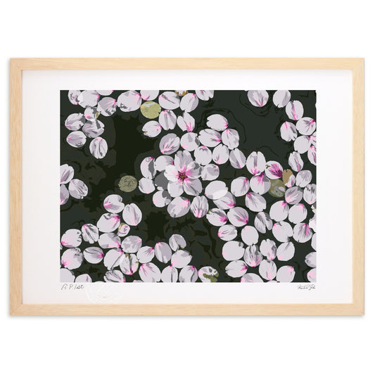 桜の花びら流れる