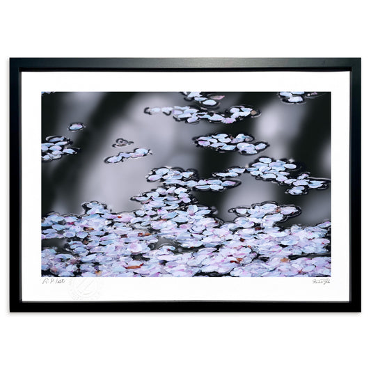 桜の花びら終宴