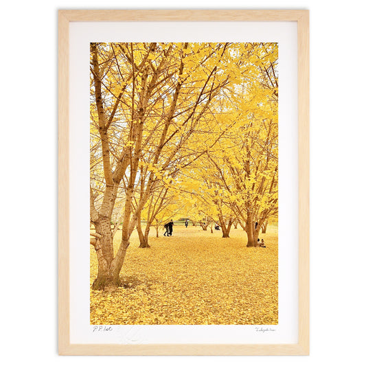 黄色の世界・冬近し