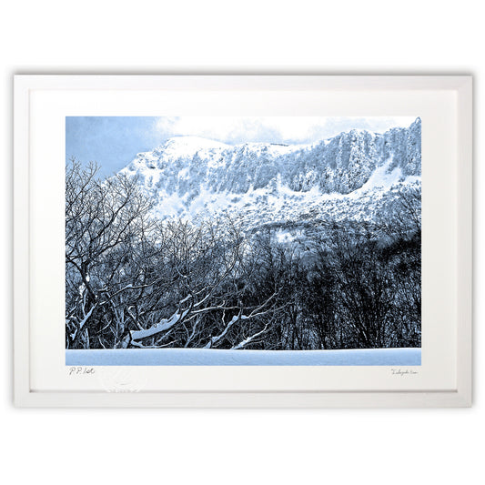 マイナス１０度