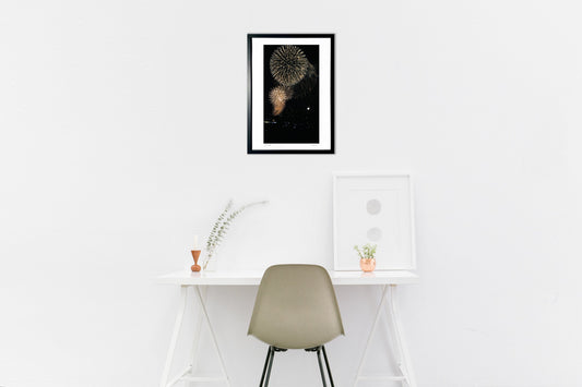 第36回やつしろ全国花火競技大会