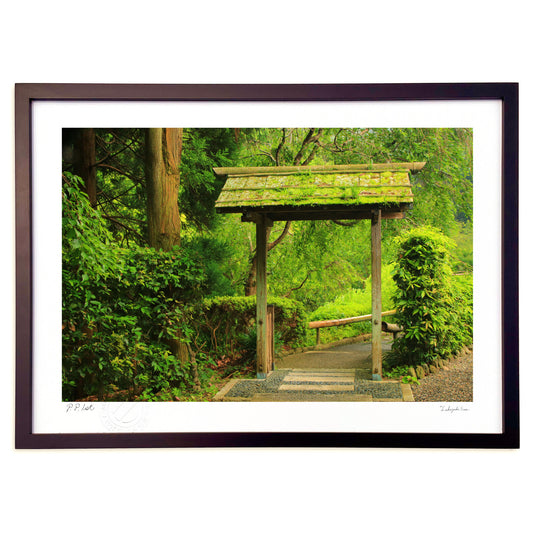 苔むした屋根の木造門