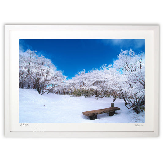 樹氷の見えるベンチ