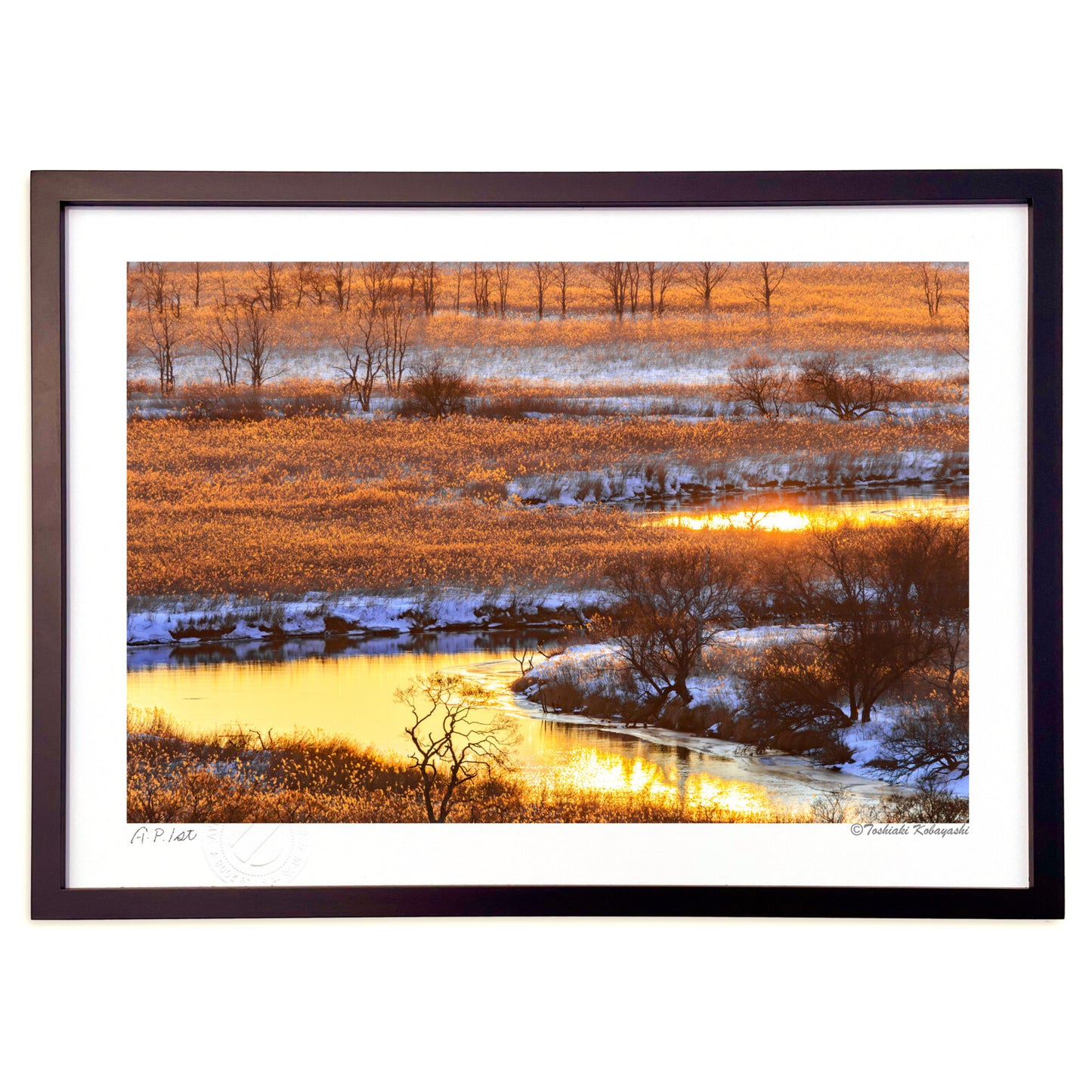 夕陽に輝く釧路湿原