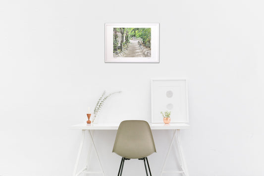 備瀬の福木並木