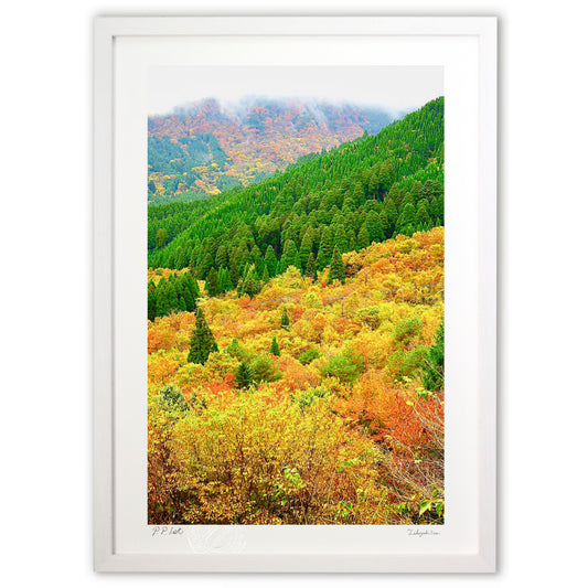 雨上がりの紅葉山