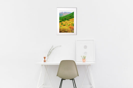 雨上がりの紅葉山