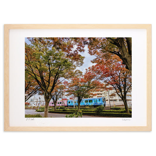 紅葉の向こう側