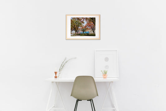 紅葉の向こう側