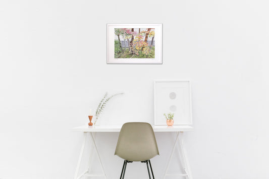 足立美術館中庭