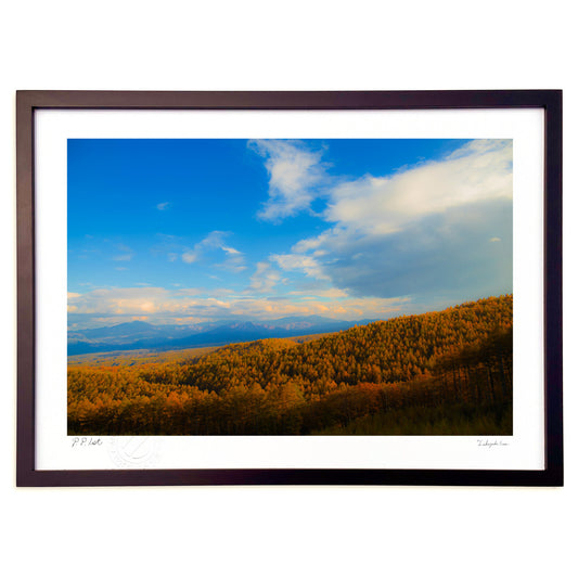 晩秋　高原の色彩