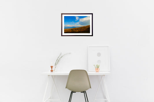 晩秋　高原の色彩