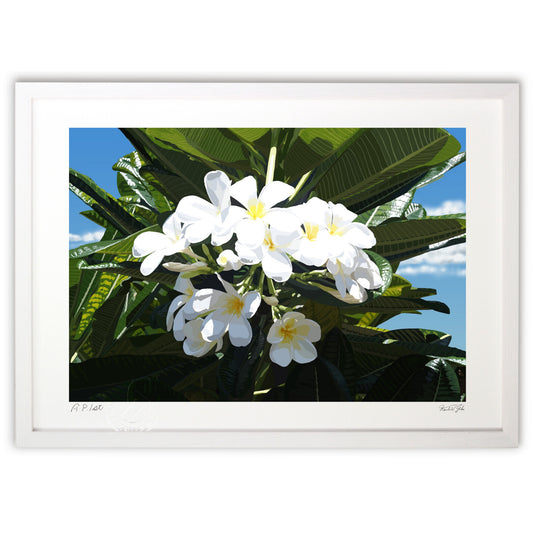 プルメリア in Blue