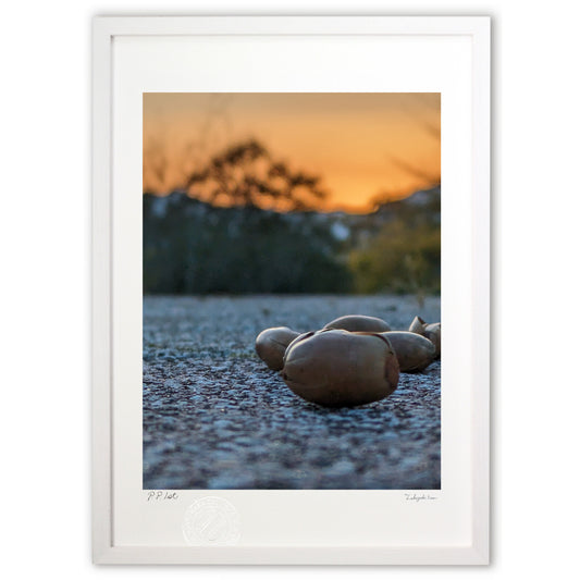 どんぐりと夕焼け