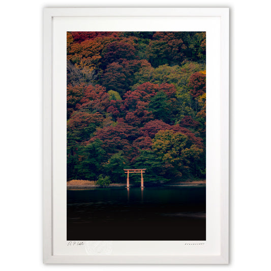 弁天の森晩秋艶姿