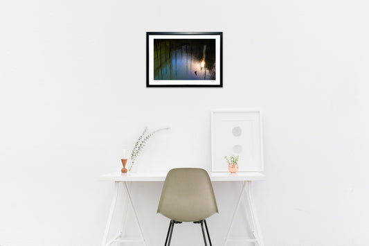 二月の森・日没