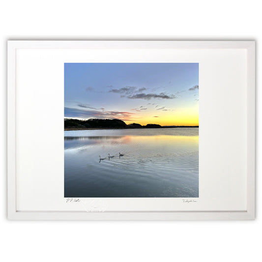 静寂の中、まるで絵画のような景色