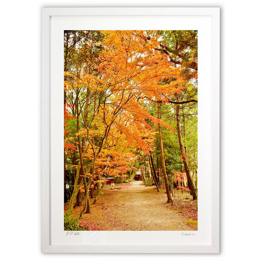 秋が深まった境内