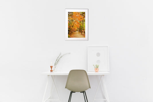 秋が深まった境内