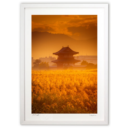 朝霧につつまれて。