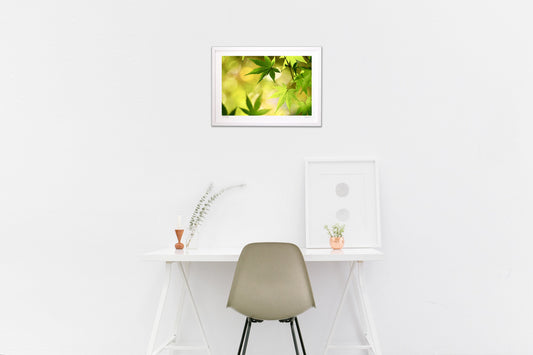 モミジとキラキラ