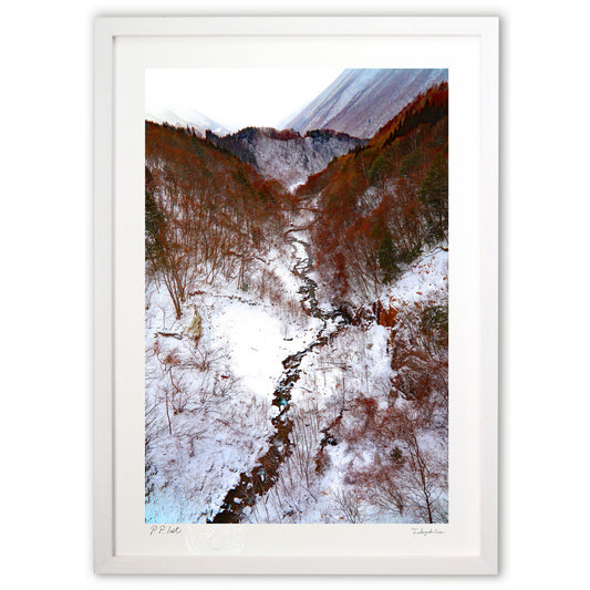 どこへ流れ行く