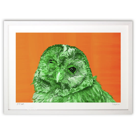 フクロウも秋にサヨナラ