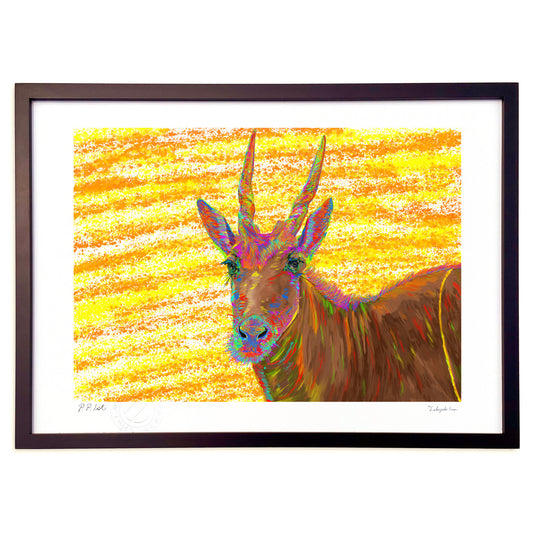 エランドーふたつの角は護るため