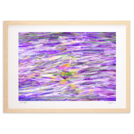 アオサギー水面で見つめる