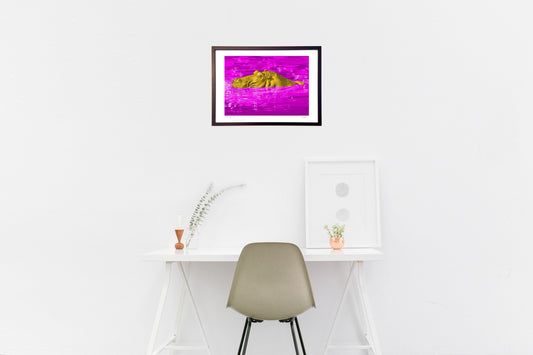 カバー眠りのとき