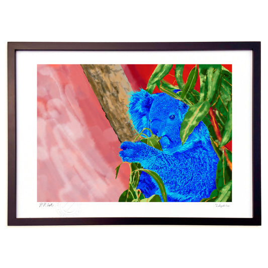 コアラー蒼の時間