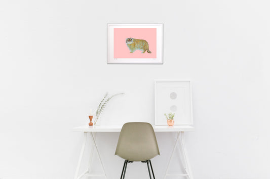 マヌルネコー警戒を怠らない