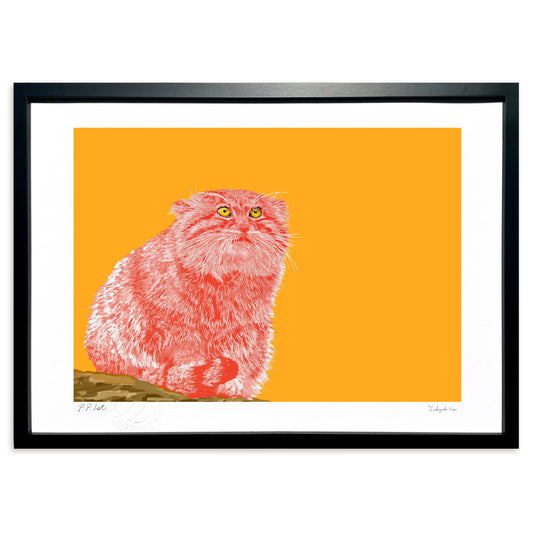 マヌルネコー想う