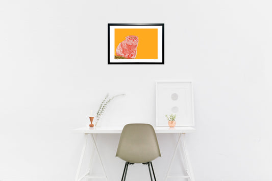 マヌルネコー想う