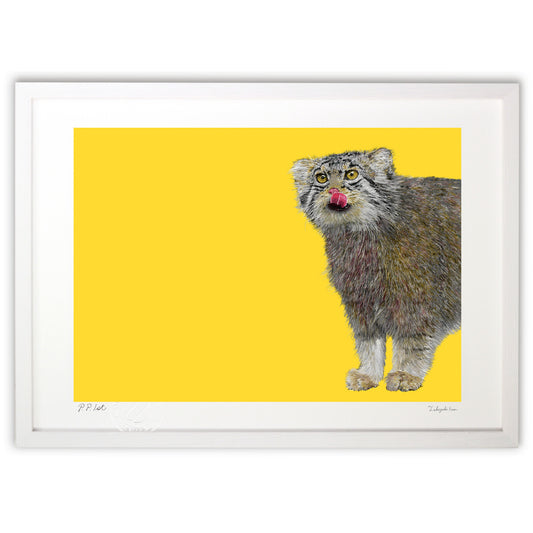 マヌルネコー蓄え、備える