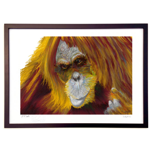 オランウータンー想い、悩む