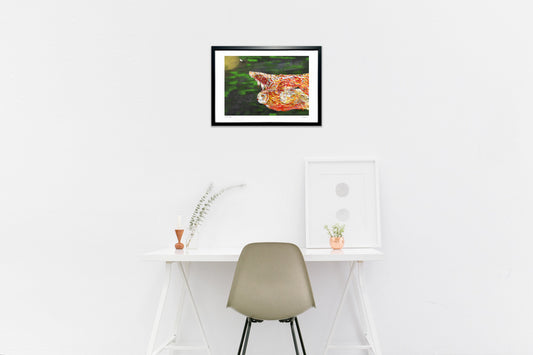 フクロウー深夜滑空