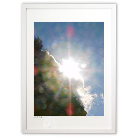 日射しのパワー