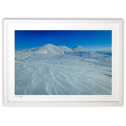 峰を目指し雪原を行く