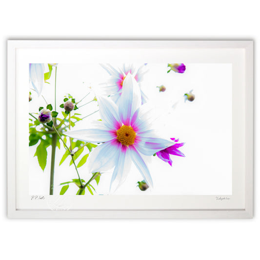 　10月15日　キレイでした。