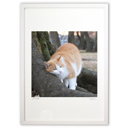 優しい時間〜夕刻の情景