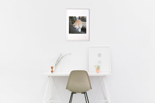 優しい時間〜夕刻の情景