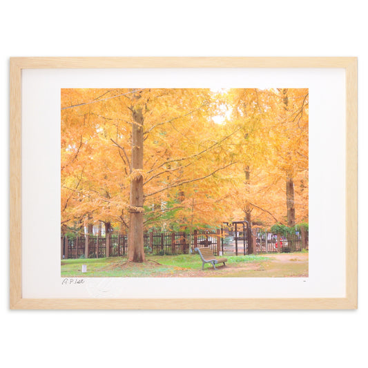 秋色メタセコイア